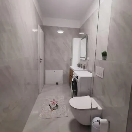 Cu Doua De Lux Apartment *